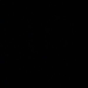 Meet your Posher, Farnaz